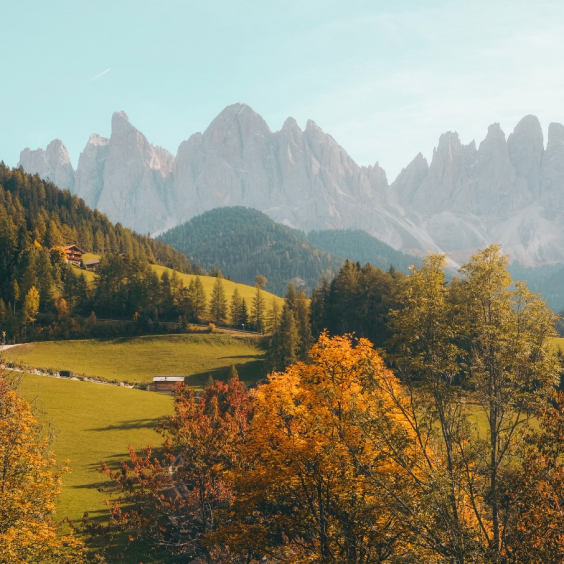 nature at home About 06