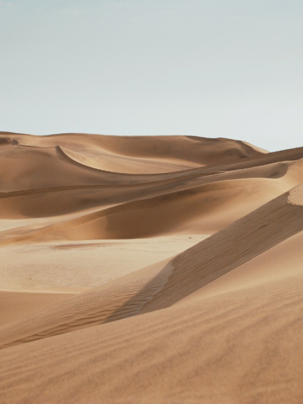 nature at home Desserts 02