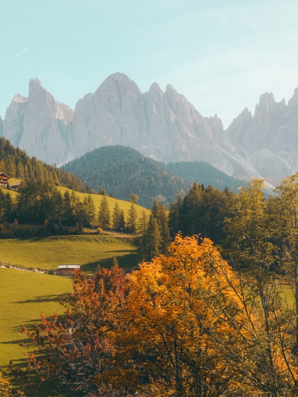 nature at home Natures 02